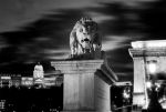 Chain Bridge's guardian lion and Buda Castle