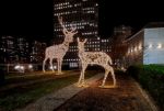 Christmas Reindeer lights at Liberty Park, WTC