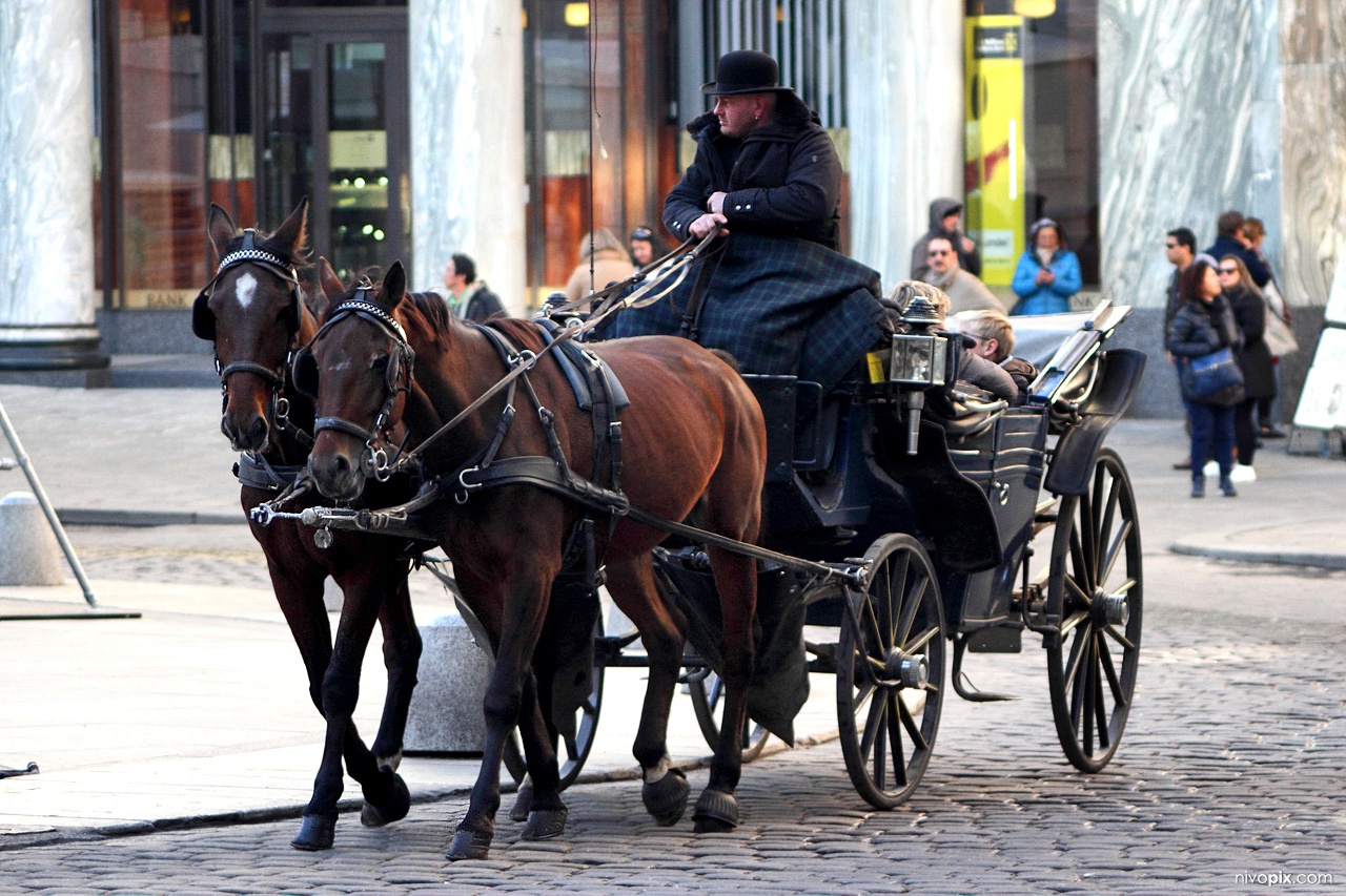 Horse-Drawn Carriage, Hofburg, Vienna