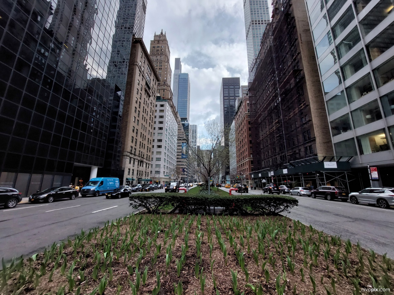 Park Avenue, New York