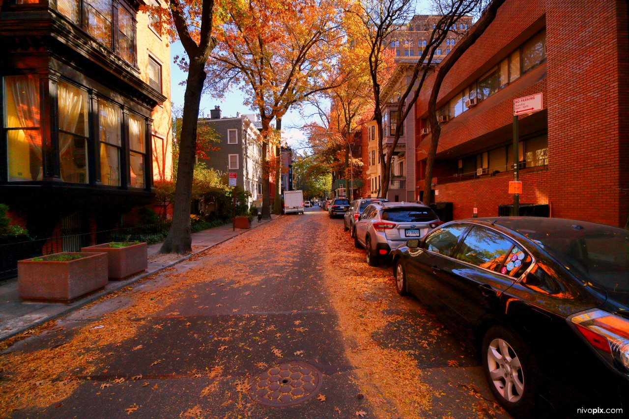 Brooklyn Heights