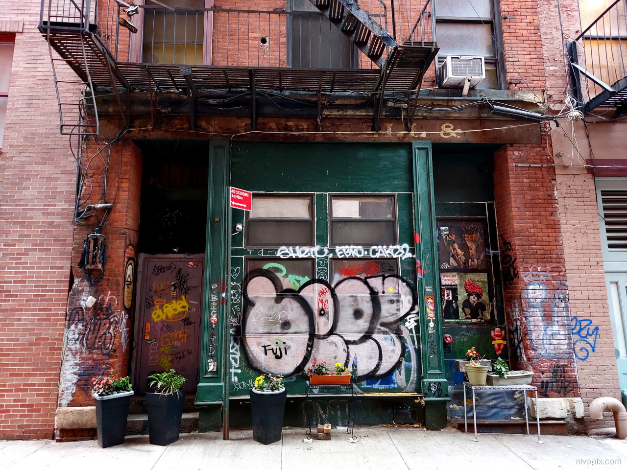 Flowers at 1-9 Staple St, Tribeca, Manhattan