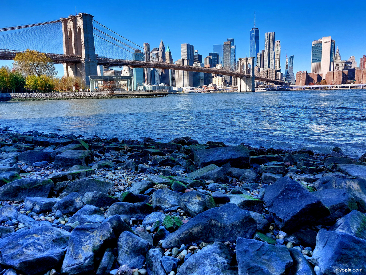 Pebble Beach, Brooklyn