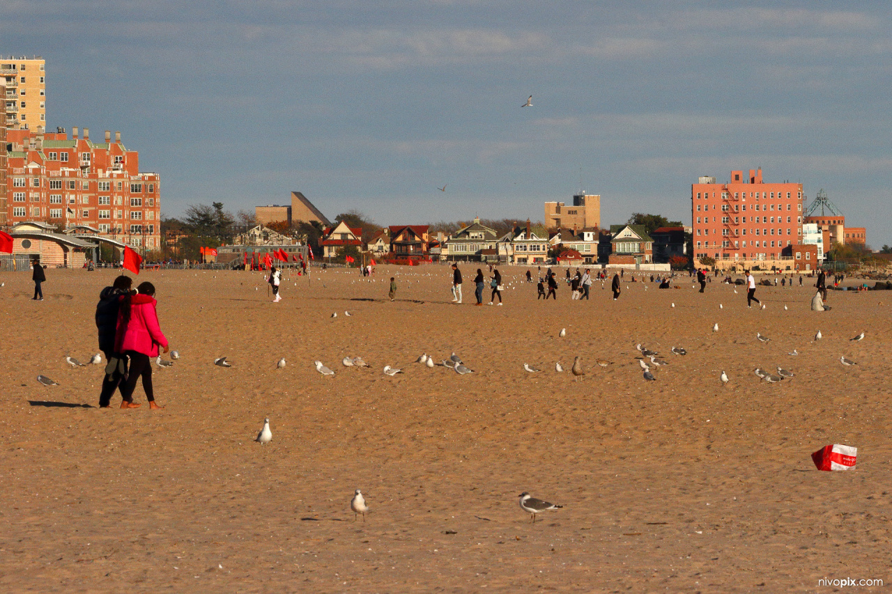 Coney Island Beach