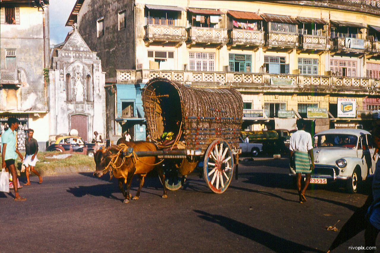 Gas Paha Junction with a Bulllock cart, front of St. Paul's Oratory - Colombo, 1979