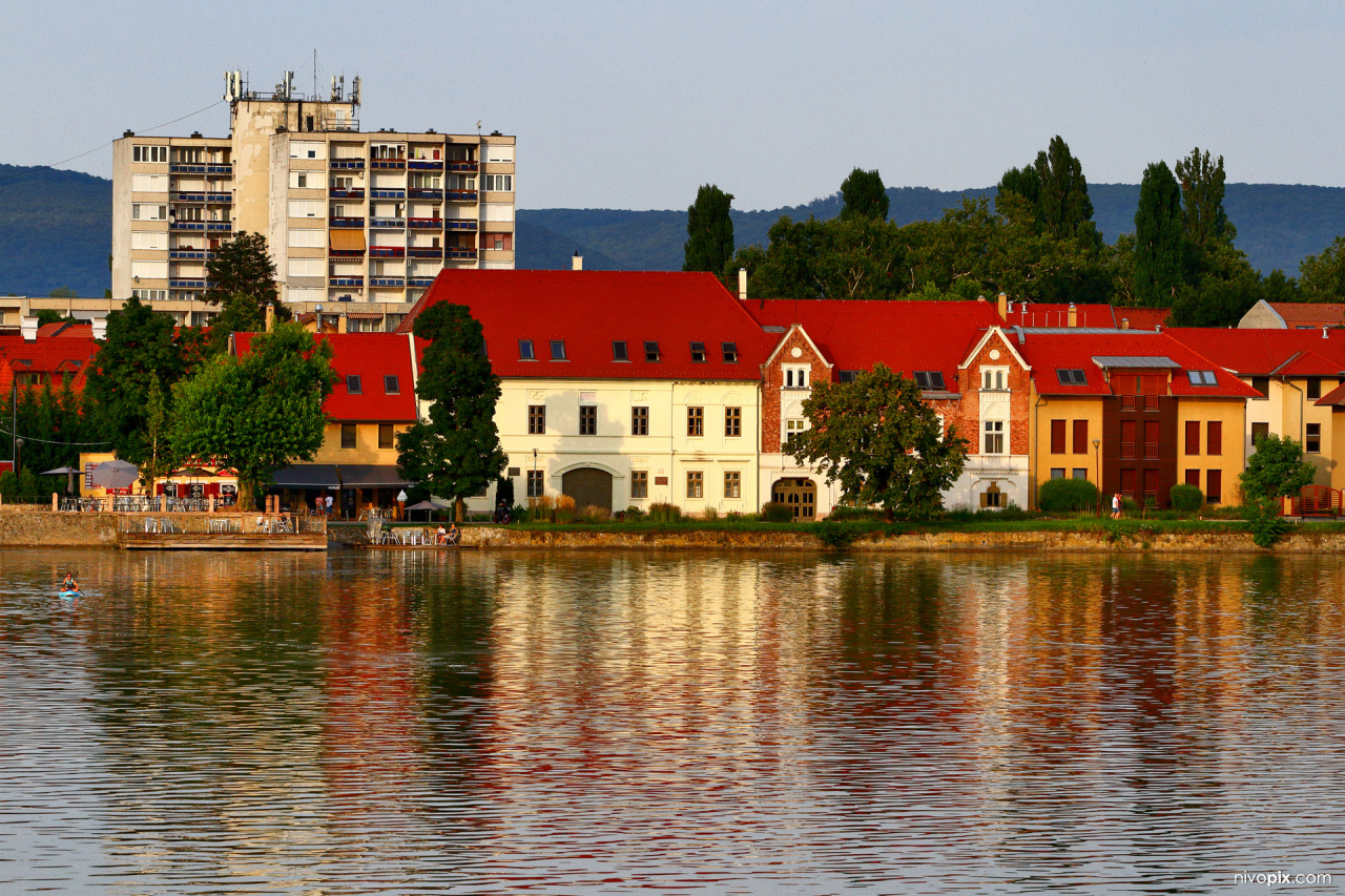 tatai Öreg-tó