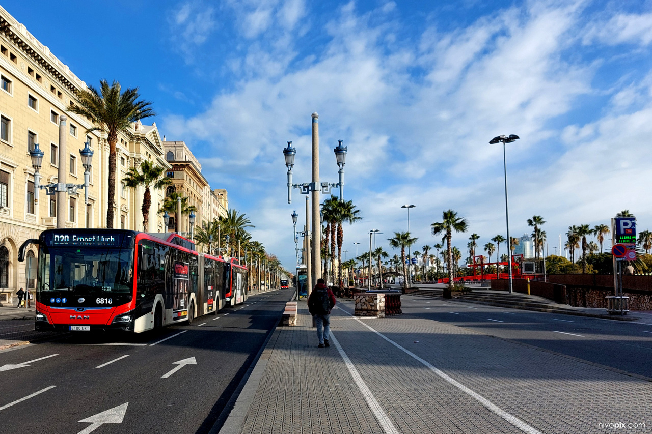 Passeig de Colom, Barcelona