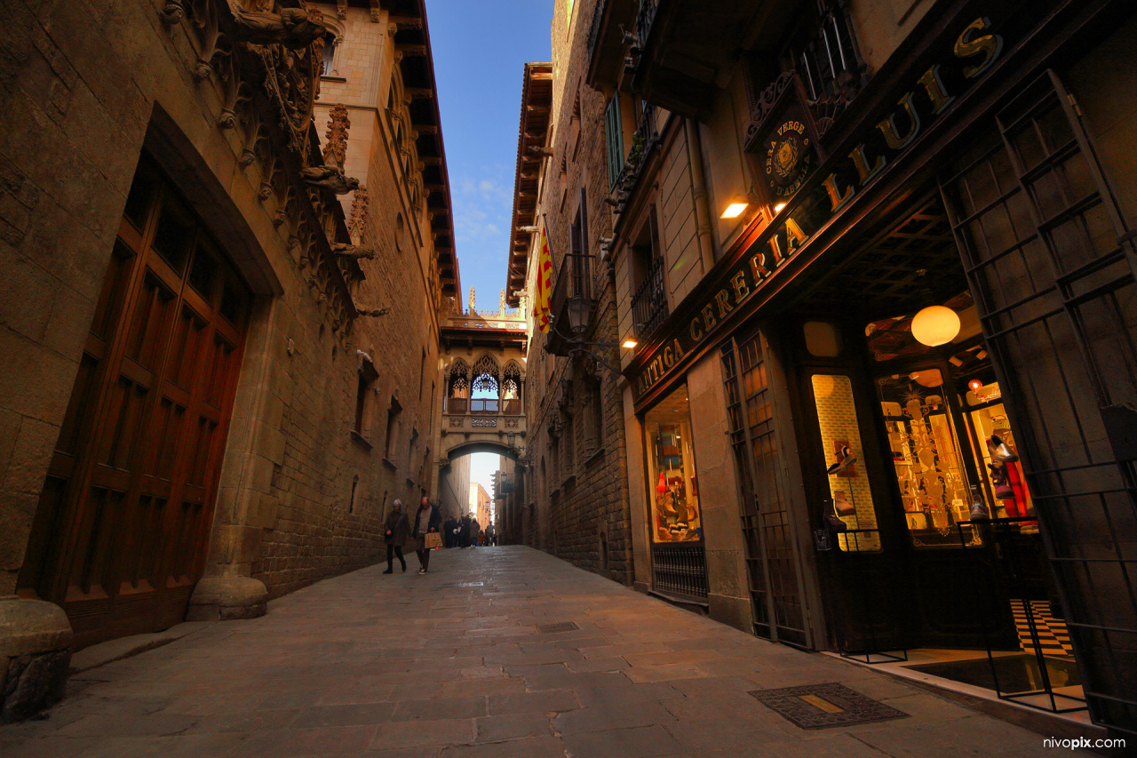 El Pont del Bisbe, Gothic Quarter