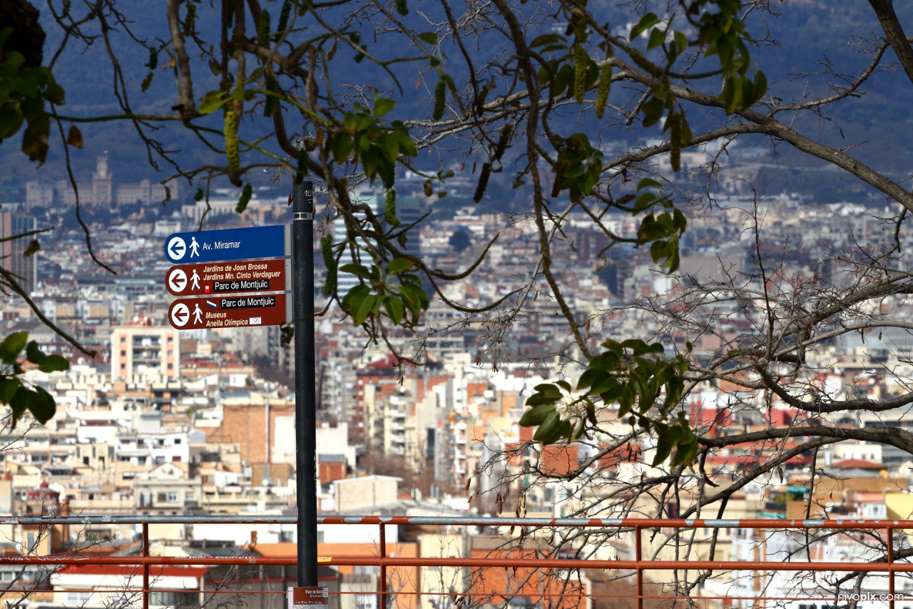 Parc de Montjuïc