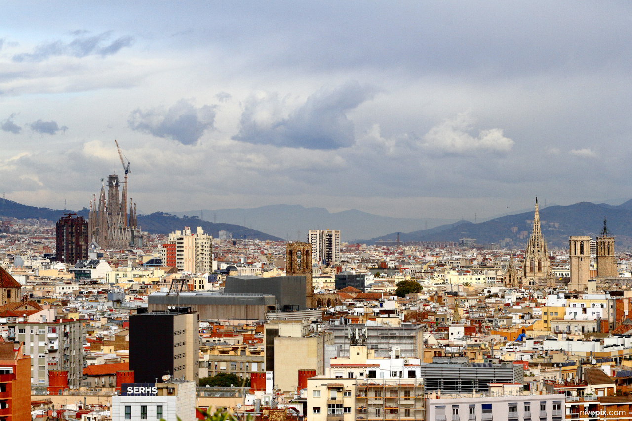 Sagrada Familia, Basílica de Santa Maria del Pi, Barcelona Cathedral