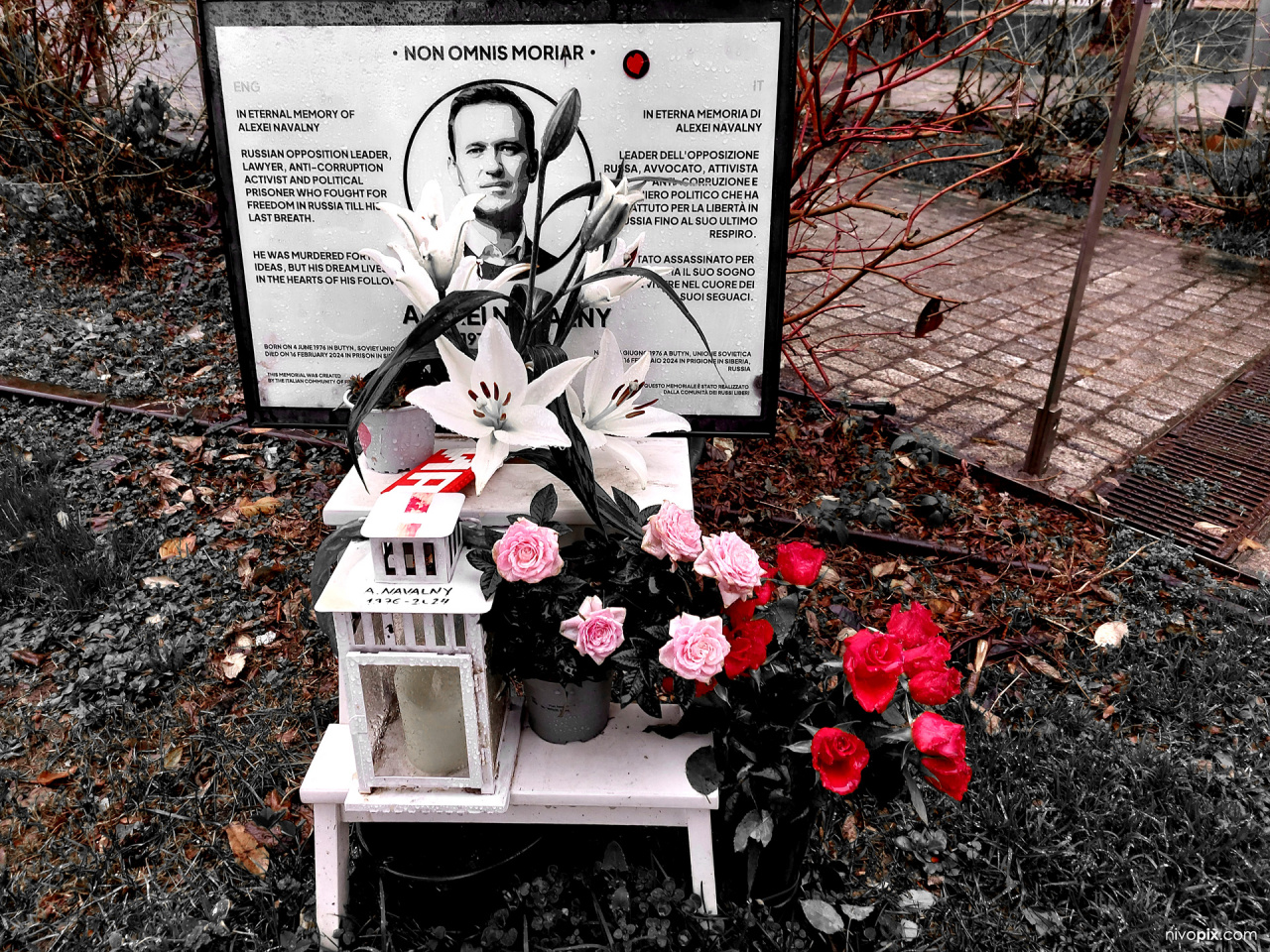 Alexei Navalny memorial