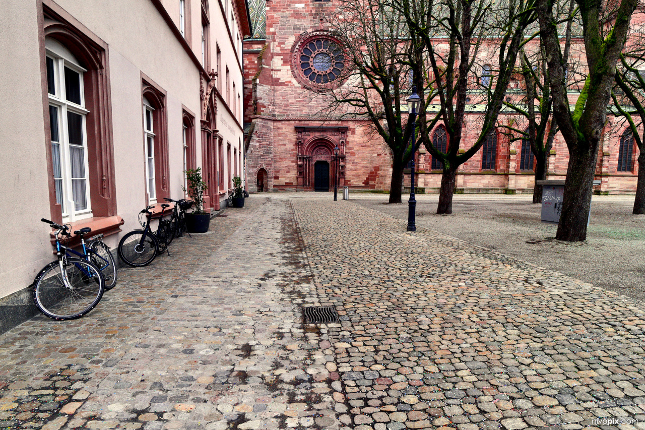 Basler Münster