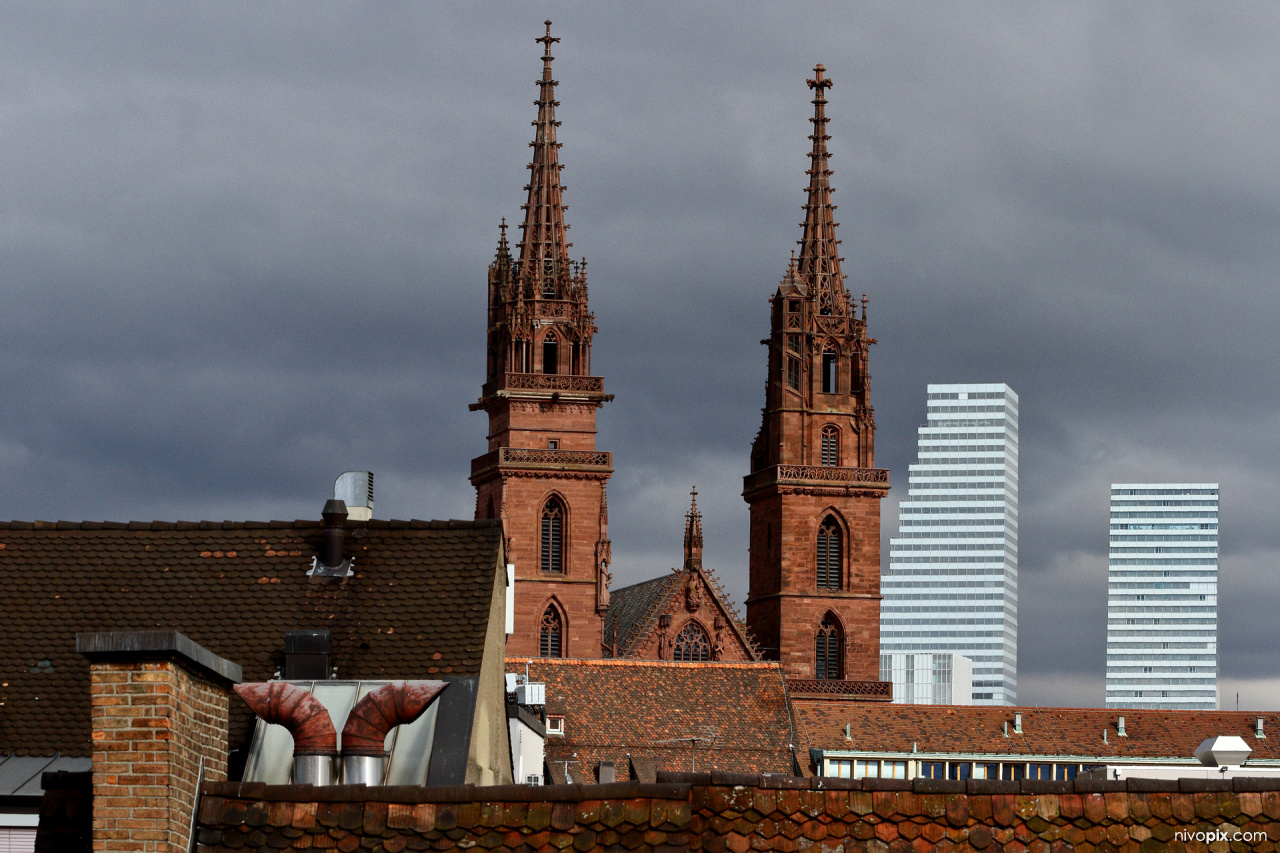 Basel münster, Roche towers