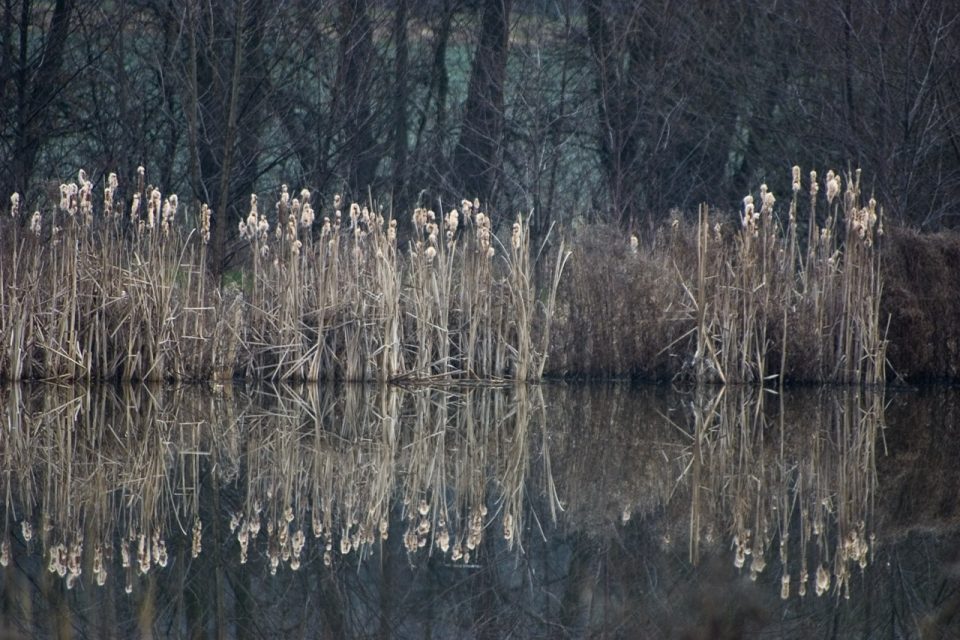 South Moravian Region album cover