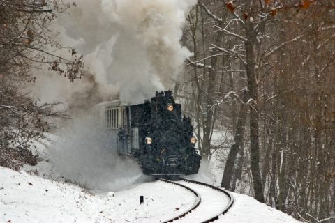 490 039 approachig Szépjuhászné – Budapest, Hungary