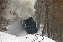 490 039 approachig Szépjuhászné