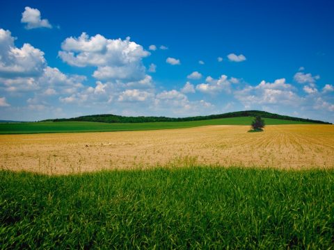 Balaton Uplands - Balaton-felvidék – Tótvázsony, Hungary