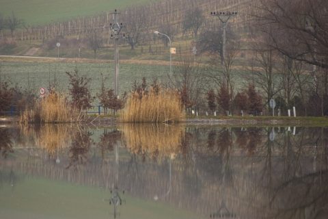 Kelčany Rybník – Kelčany, Czech Republic