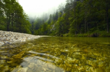 Schwarza, Höllental, Austria