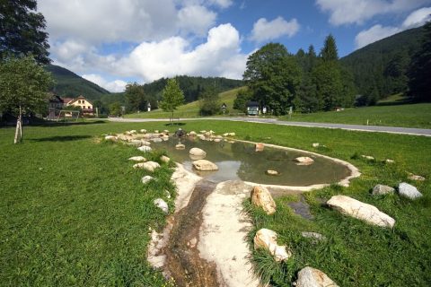 Small pond near Myrafälle – Austria