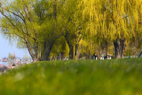 Ezüstpart – Siófok, Hungary
