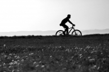 Sunset Cyclist