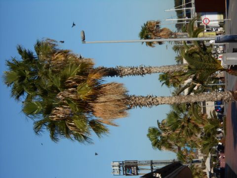 Barcelona – Barcelona, Spain