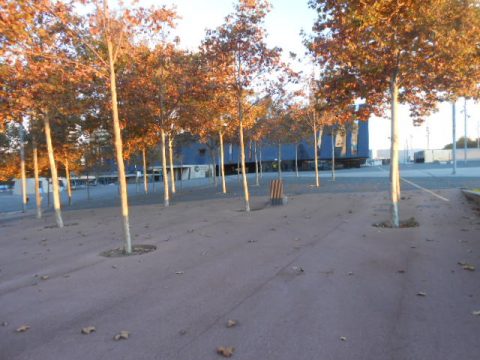 Barcelona – Barcelona, Spain