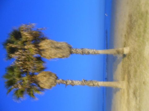 Barcelona – Barcelona, Spain