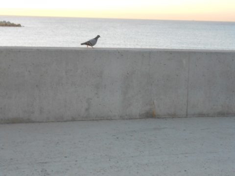 Barcelona – Barcelona, Spain