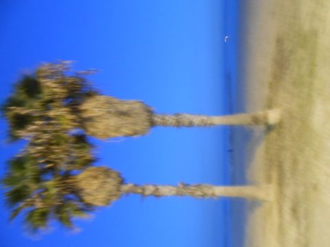 Barcelona – Barcelona, Spain