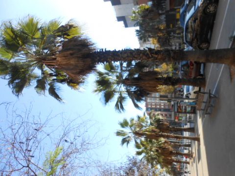 Barcelona – Barcelona, Spain
