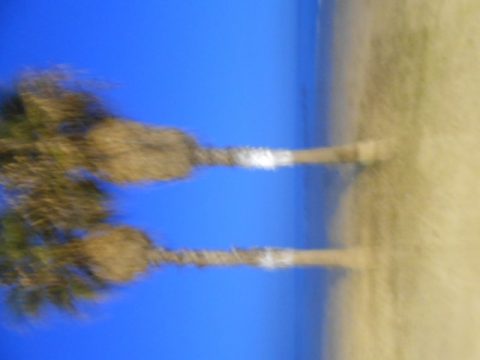 Barcelona – Barcelona, Spain