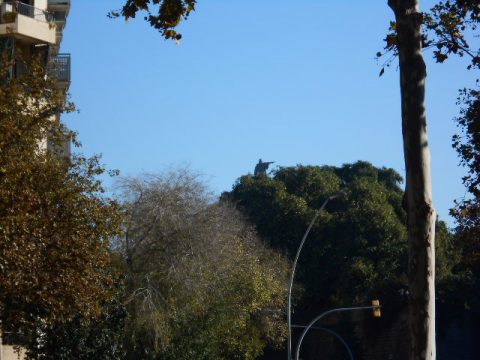Barcelona – Barcelona, Spain