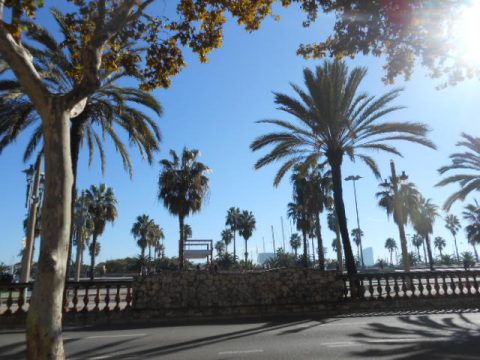 Barcelona – Barcelona, Spain