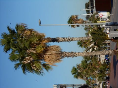 Barcelona – Barcelona, Spain