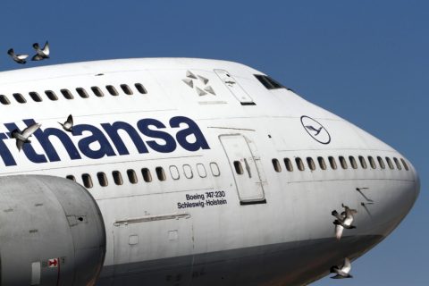 Boeing 747 bird strike :) – Speyer, Germany