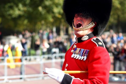 Make way to the Queen's guard! – London, United Kingdom