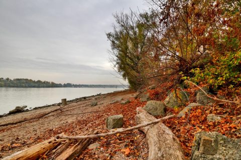 Római-part ősszel – Budapest, Hungary