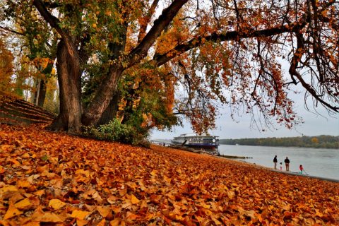 Római-part ősszel – Budapest, Hungary