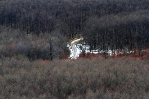 Kab-hegy – Nagyvázsony, Hungary