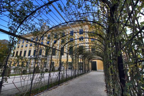 Wien
