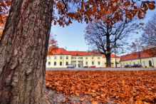 Schönbrunn Palace