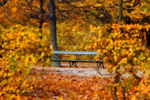 Schönbrunn Palace garden in autumn