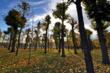 Schönbrunn Palace garden in autumn