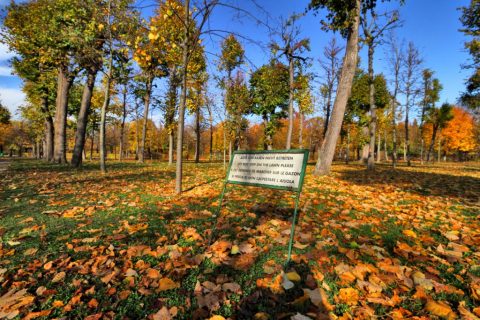 Schönbrunn Palace garden in autumn – Vienna, Austria