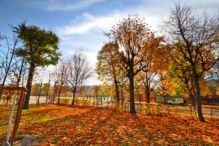 Schönbrunn Palace garden in autumn