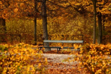 Schönbrunn Palace garden in autumn