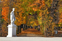 Schönbrunn Palace garden in autumn