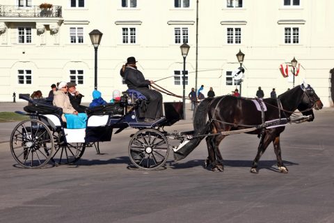 Wien